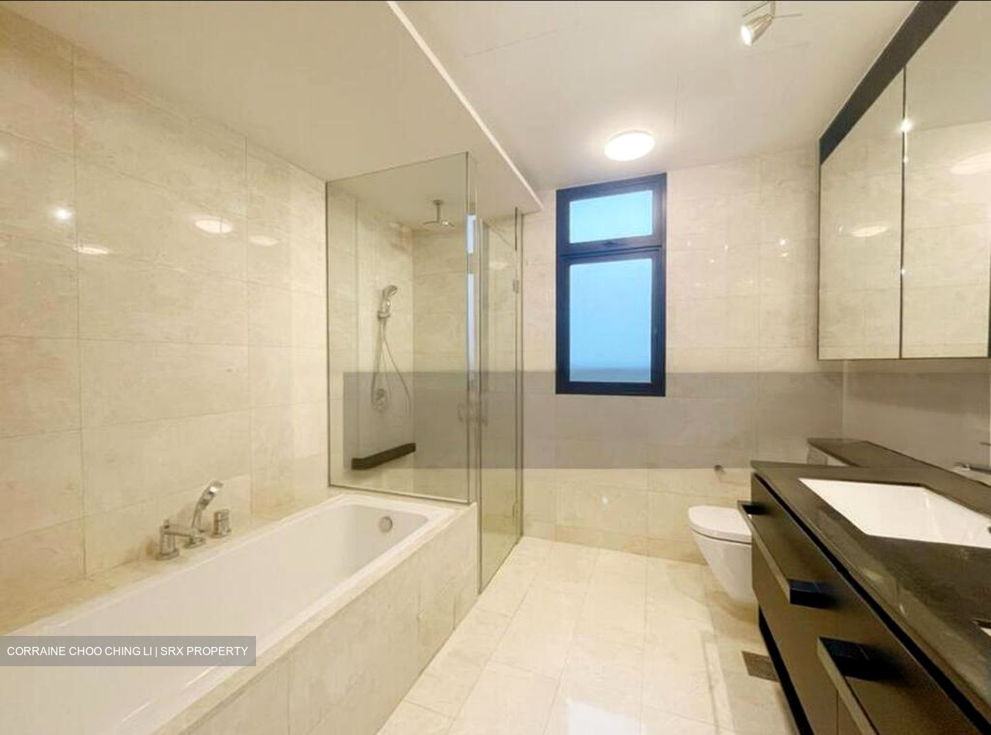 Park Colonial (D13), Condominium #530576891